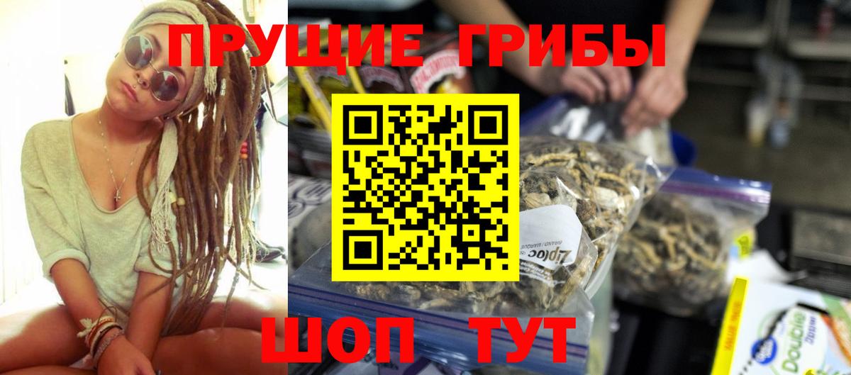 Галлюциногенные грибы Cubensis  Псилоцибиновые грибы GOLDEN TEACHER  Ртищево  Вход с VPN 